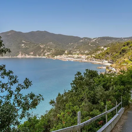 In A Quiet Place - Happy * Moneglia