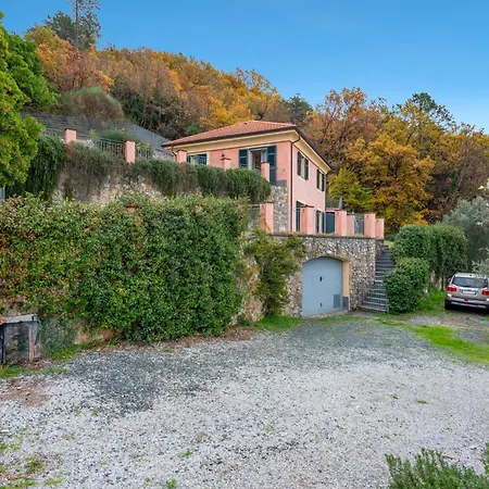 In A Quiet Place - Happy * Moneglia